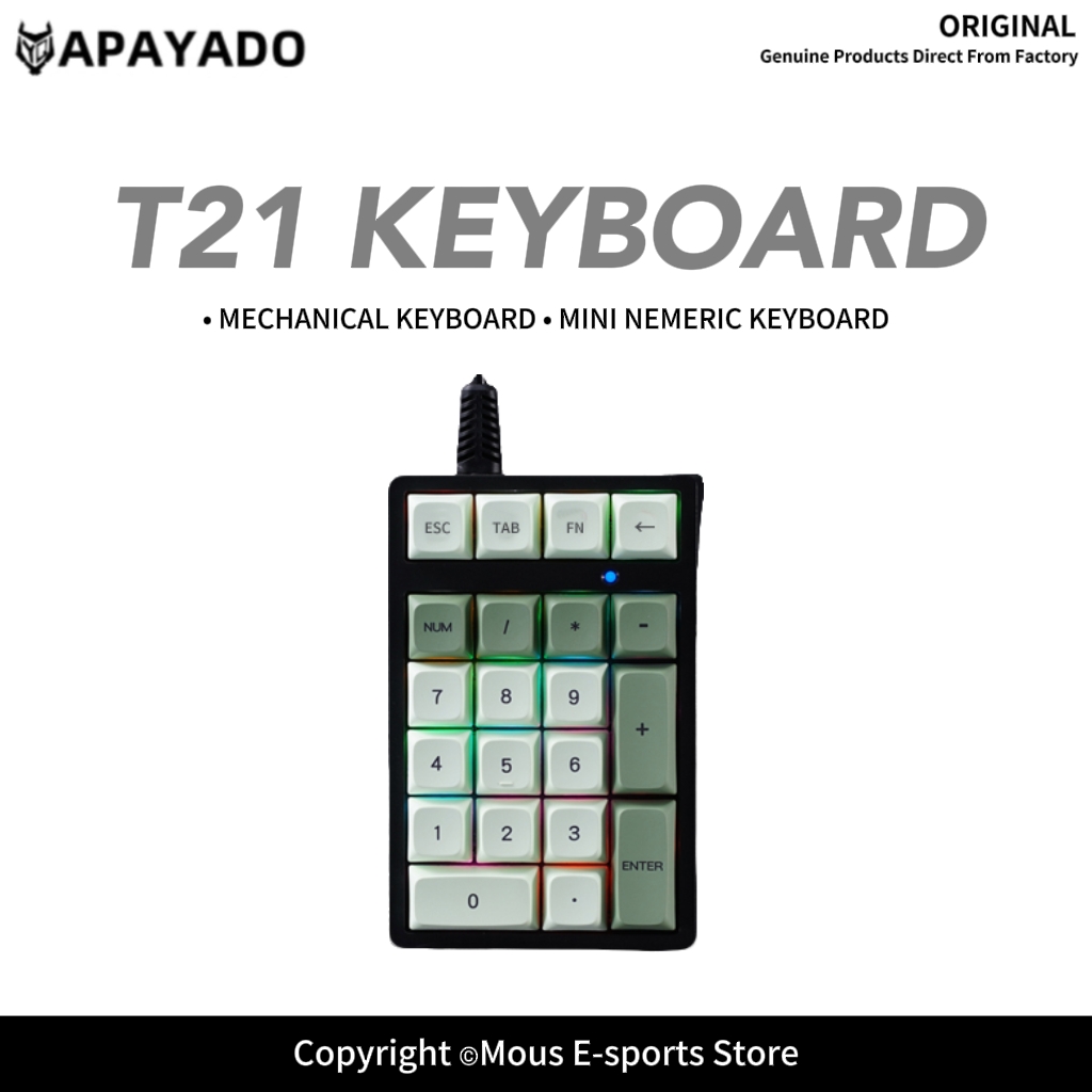 Keyboard Numpad Separate - T21 APAYADO 有線テンキー ブルースイッチ PBT ダブルショットキーキャップ