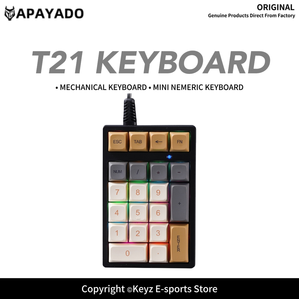 Keyboard Numpad Separate - T21 ミニ数字キーパッド RGB バックライト ブルースイッチ APAYADO